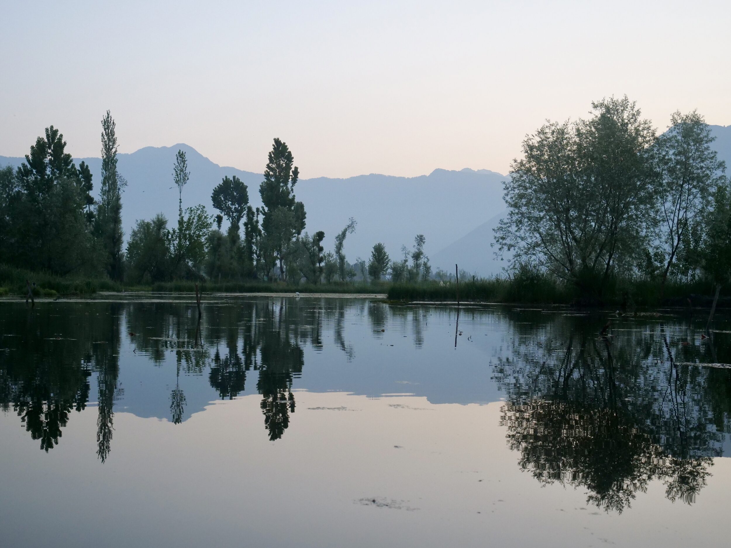 Early morning, quiet part of Srinagar’s Dal Lake, 5.36 am, 06 May 2024. Photo ©️ Doug Spencer.